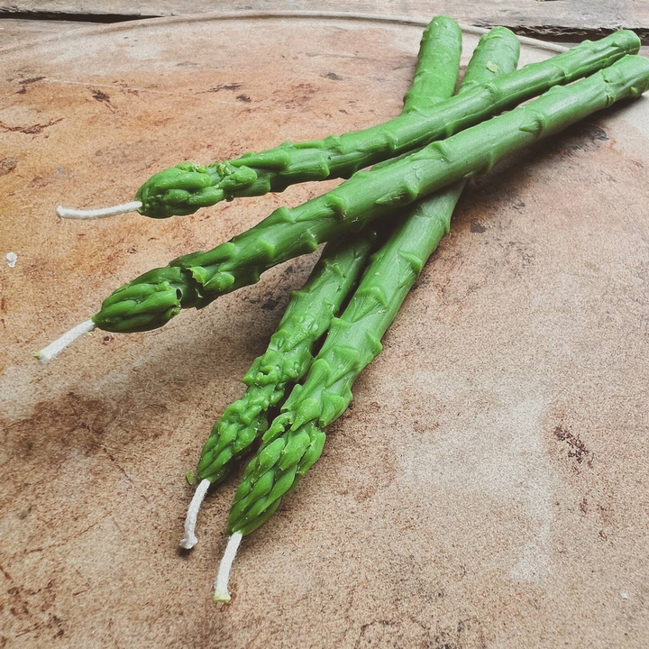Asparagus Taper Candle (Set of 2)
