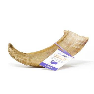 Large Lamb Horn