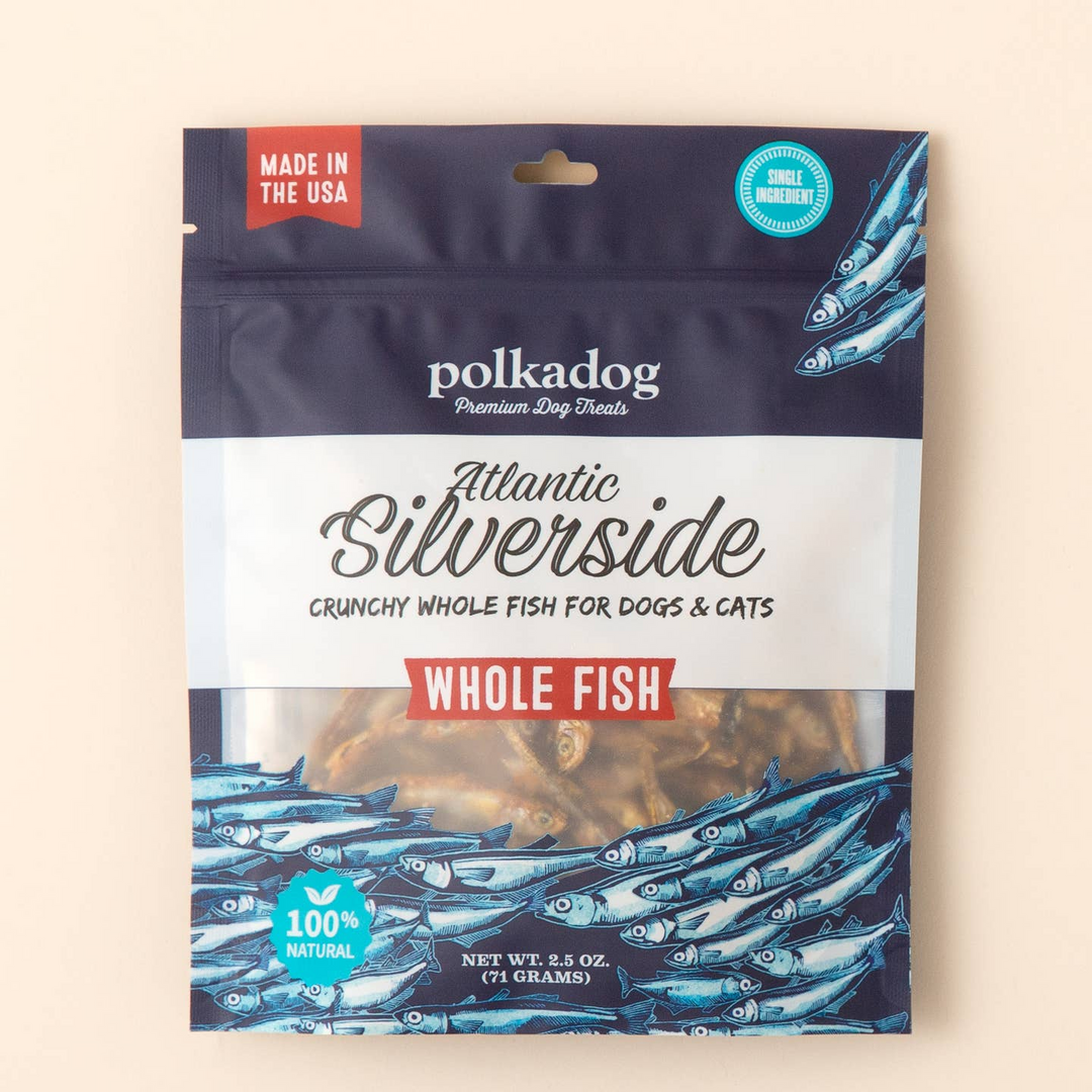 Atlantic Silverside