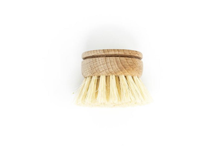 Beachwood  Dish Brush Replacement Head
