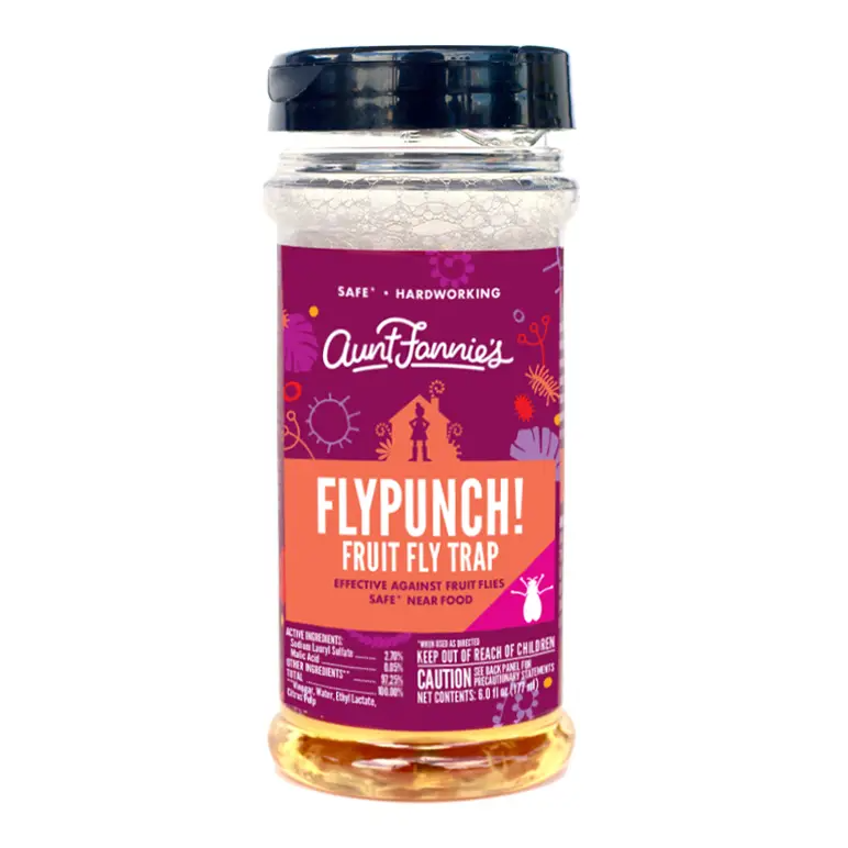 Fly Punch Fruit Fly Trap