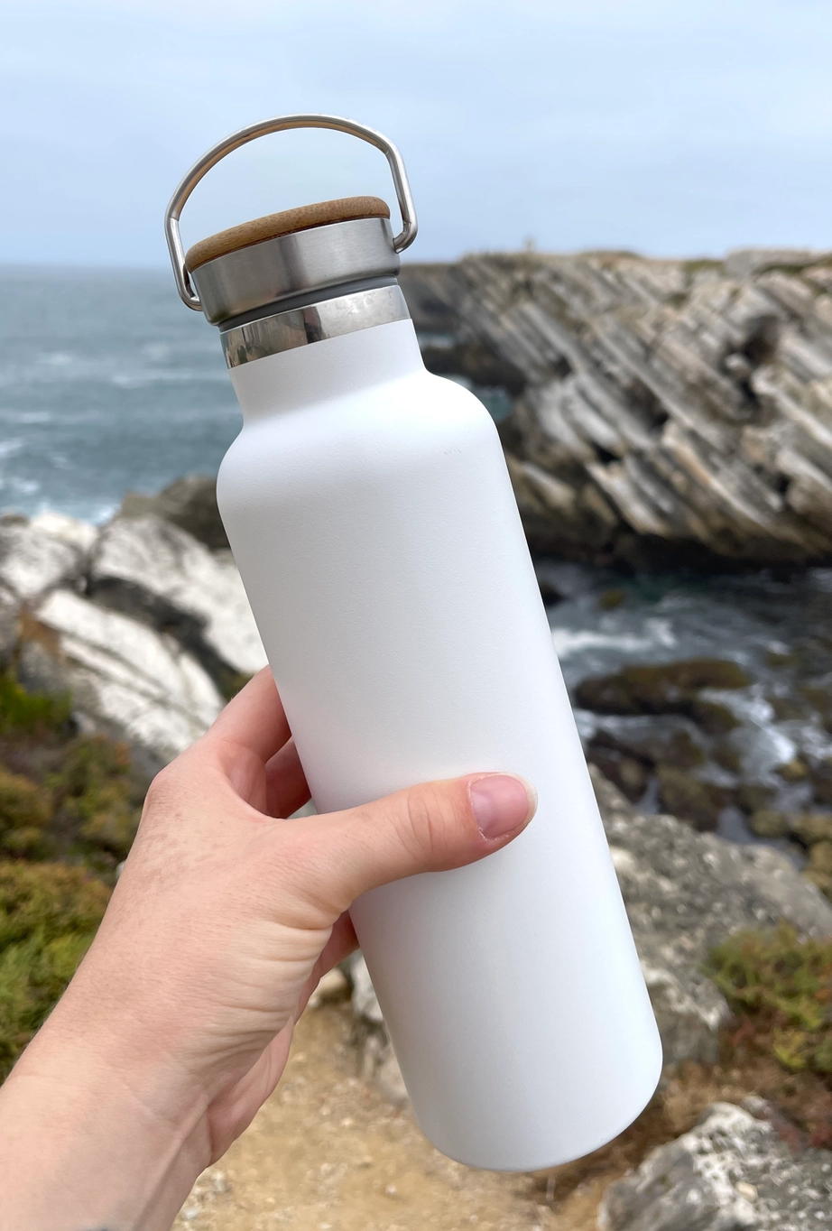 Stainless Steel Water Bottle