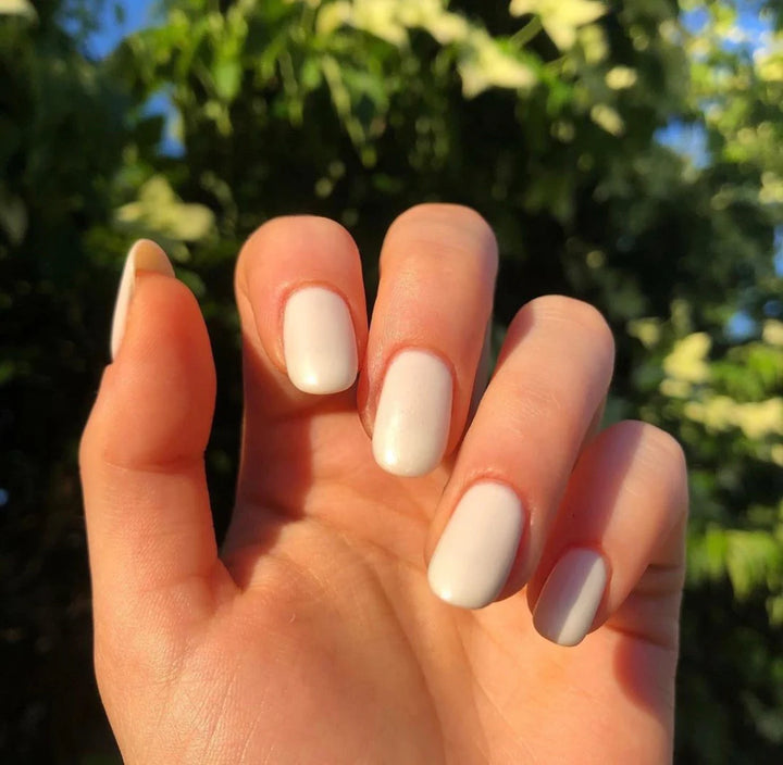 Becker's White