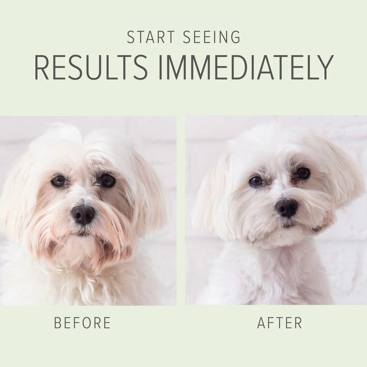 The text "Start Seeing Results Immediately" is above before and after photos of a small white dog who was bathed with Pure and Natural Pet's 2-in-1 Whitening Brightening Shampoo and Conditioner. The before photo shows a yellowed coat around it's face, and the after photo shows the same dog with whiter fur and no yellow. Pure and Natural Pet is available at Luca Essentials in Los Angeles.