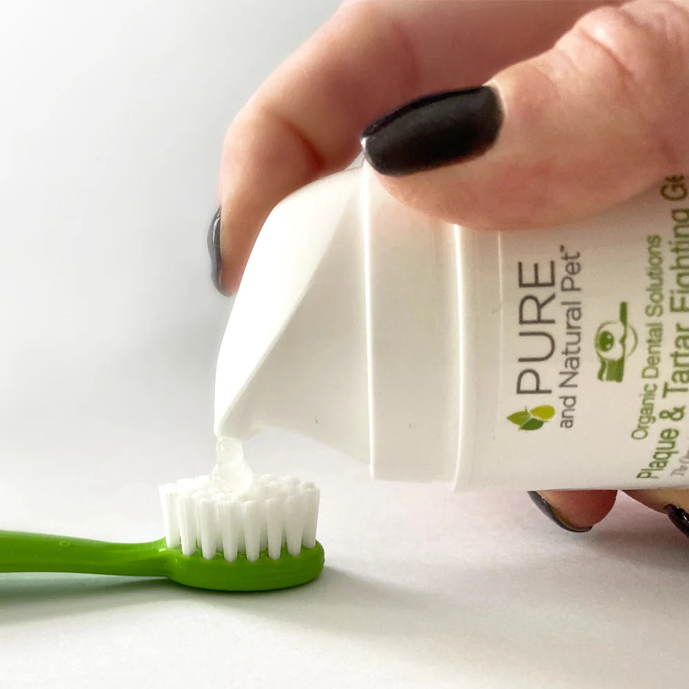 A hand pumps Pure and Natural Pet Plaque & Tartar Fighting Gel onto a small green toothbrush. Pure and Natural Pet products are available at Luca Essentials in Los Angeles.