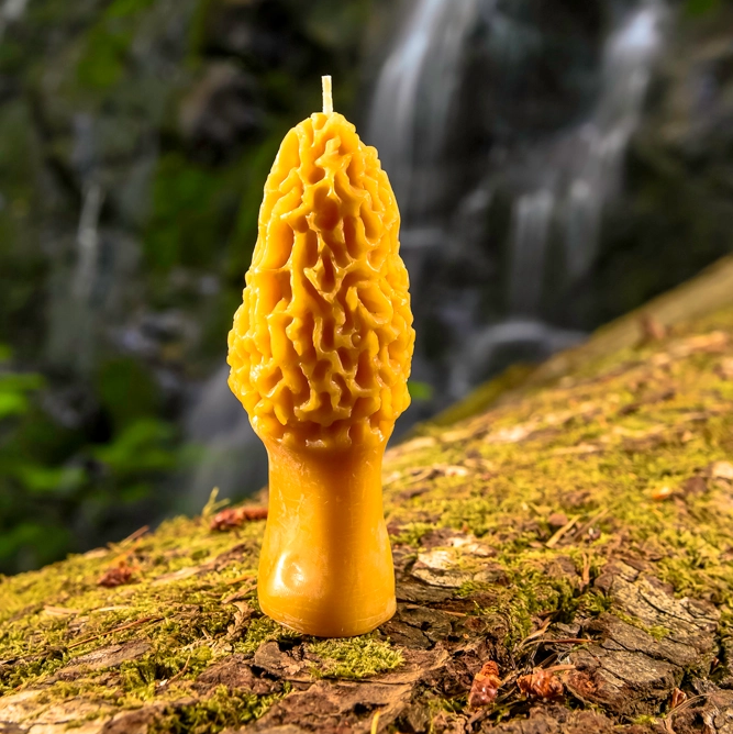 A yellow morel-shaped candle stands on a mossy log with a blurred waterfall and green forest in the background. Available at Luca Essentials in Los Angeles. 