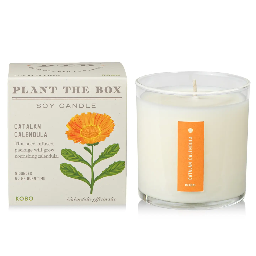 A soy candle in a clear glass jar with white wax and an orange vertical label that says "Catalan calendula", shown next to its cream-colored packaging box featuring a yellow-orange calendula flower. The brand name KOBO is visible on both the box and the label. Available at Luca Essentials in Los Angeles. 