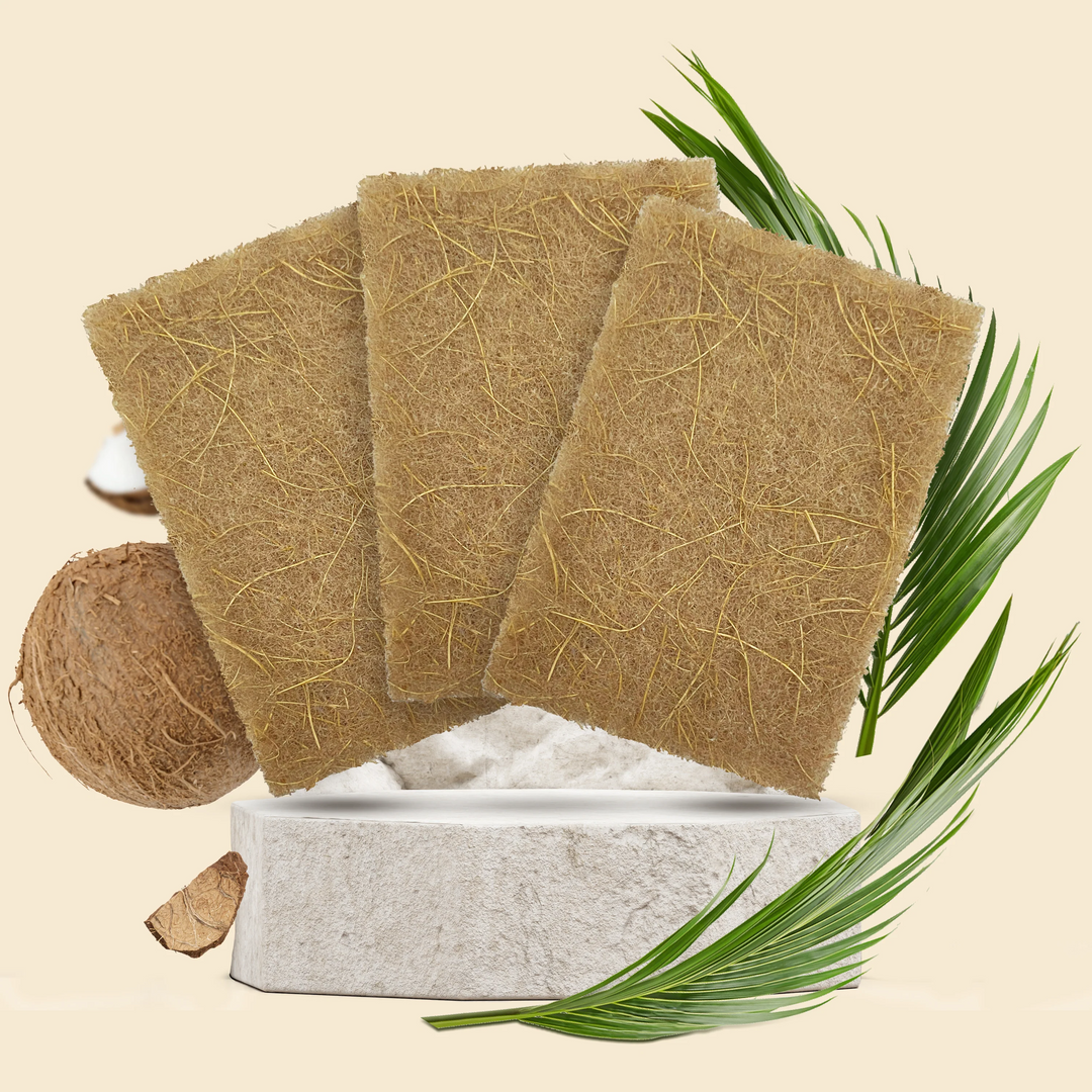 Three brown scouring sponges with a coconut and palm leaves on a beige background. Available at Luca Essentials in Los Angeles. 