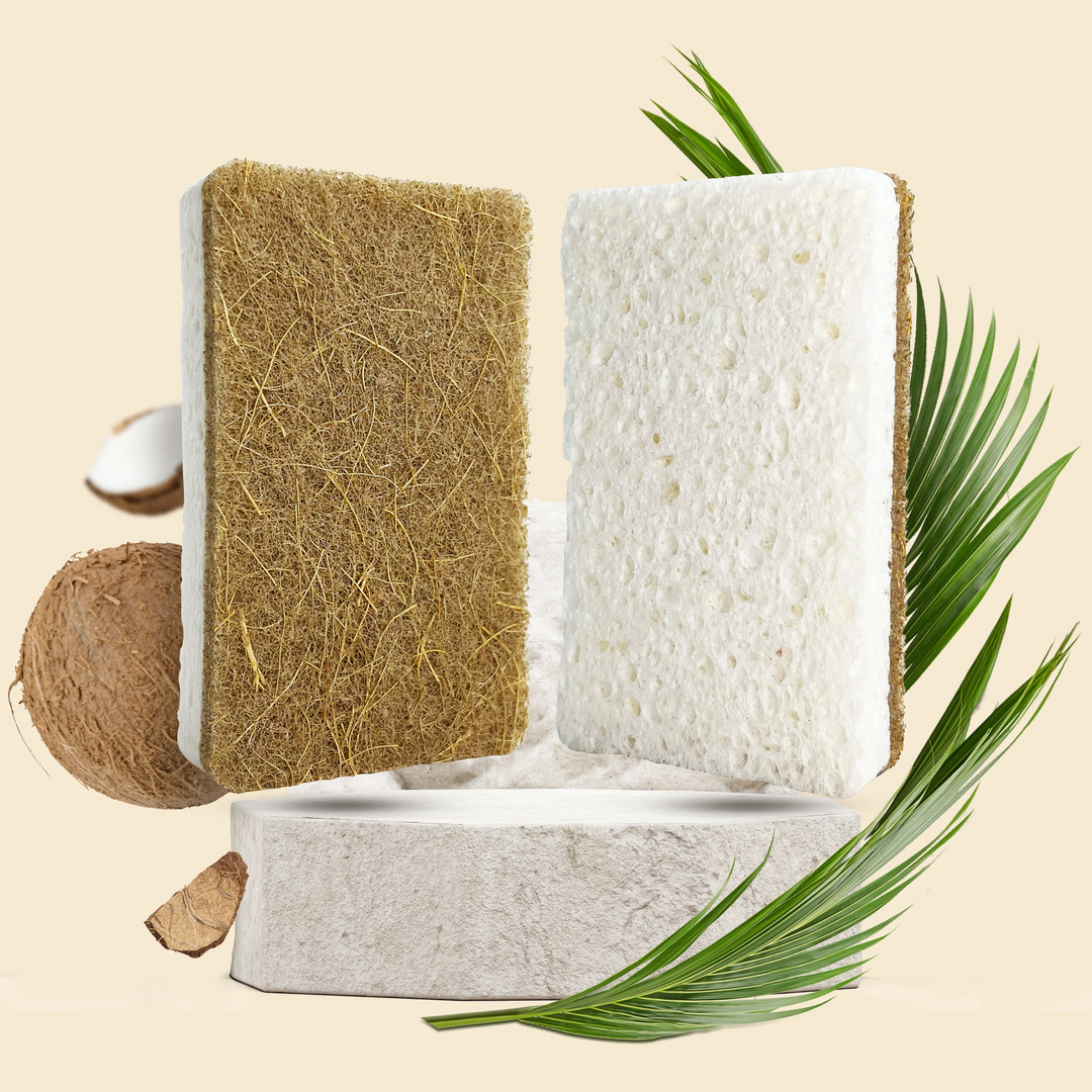 Two natural sponges with a coconut and palm leaves on a beige background. Available at Luca Essentials in Los Angeles. 