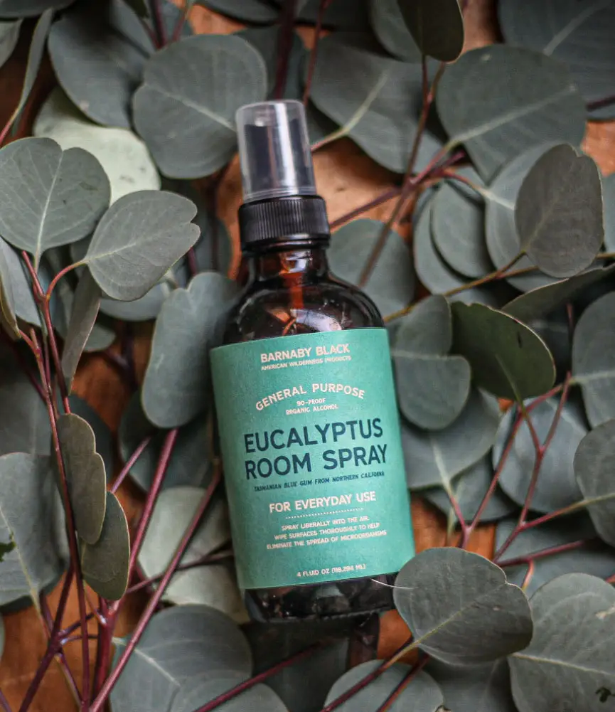 Barnaby Black Eucalyptus Room Spray bottle with green label on a leafy background. Available at Luca Essentials in Los Angeles. 