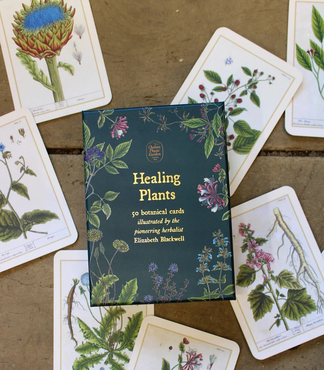 Healing Plants Cards