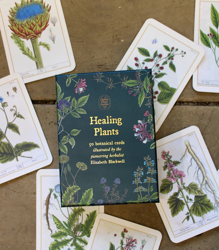 Healing Plants Cards