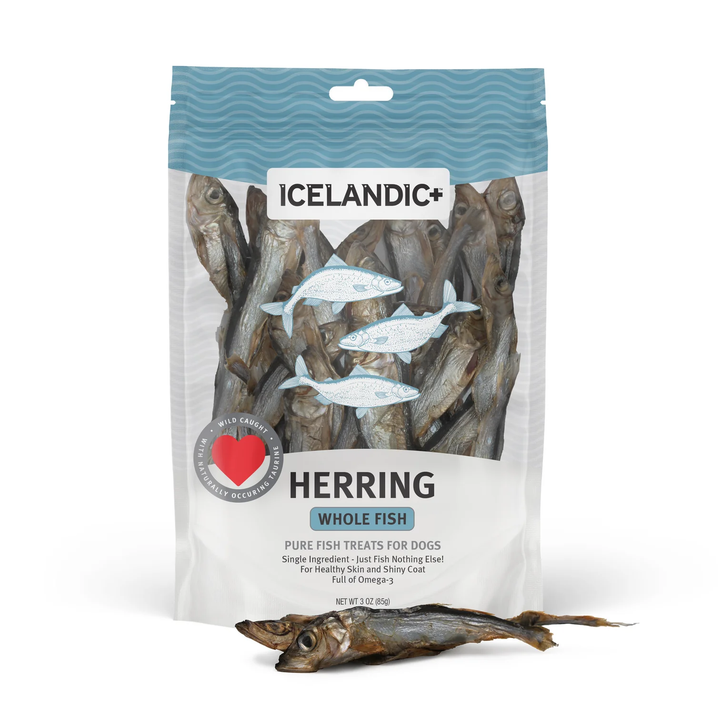 Whole Fish Herring Dog Treat