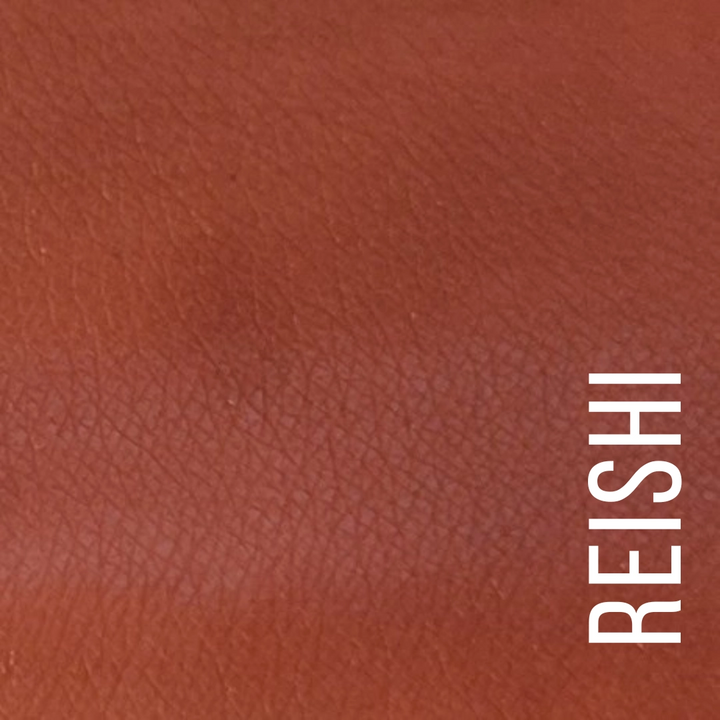 A close-up color swatch of a warm reddish-brown textured material with the word 'REISHI' printed vertically in white on the right side. Available at Luca Essentials in Los Angeles. 