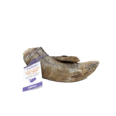 Small Lamb Horn with Marrow